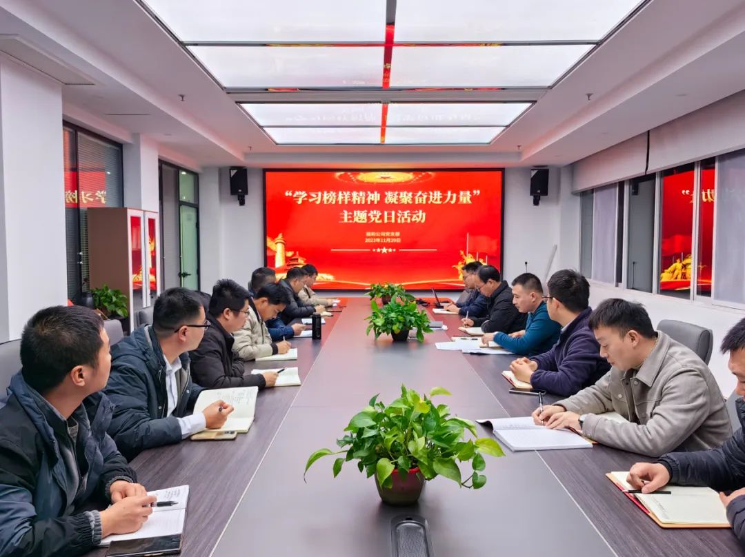 載和公司黨支部開展“學(xué)習(xí)榜樣精神 凝聚奮進力量”主題黨日活動